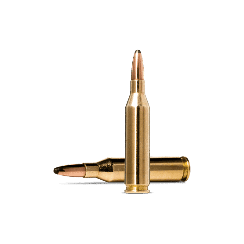 Norma 243 Win 100Gr Sp Whitetail - Image 2