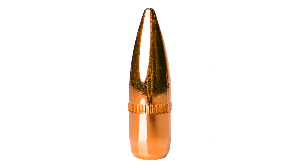 Berry'S 22 Cal 62Gr Fmjbt