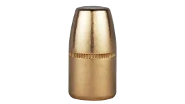 Berry's 45-70 GOVT 350gr RS