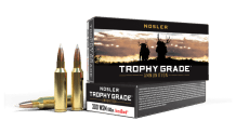 Nosler 300 WSM 180gr Accubond Trophy Grade Ammunition (20ct) - 60063