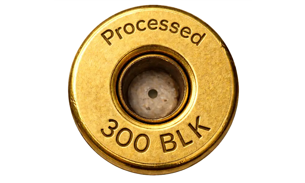 Processed 300 AAC Blackout Brass