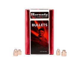 Hornady 10mm 180gr FP