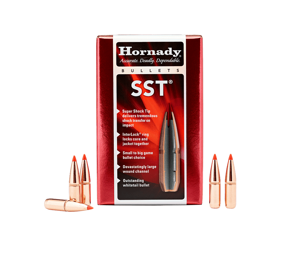 Hornady 30 Cal 180gr SST
